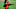 Baltimore Orioles Baltimore Orioles