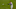 MIAMI, FL – JULY 11: Jonathan Schoop MIAMI, FL – JULY 11: Jonathan Schoop