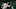 Baltimore Orioles Baltimore Orioles