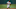 OAKLAND, CA – AUGUST 10: Tim Beckham OAKLAND, CA – AUGUST 10: Tim Beckham