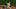 BOSTON, MA – AUGUST 26: Kevin Gausman BOSTON, MA – AUGUST 26: Kevin Gausman