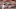 Baltimore Orioles Baltimore Orioles