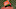 Baltimore Orioles Baltimore Orioles