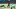 Jacksonville Jaguars Jacksonville Jaguars
