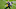 Jacksonville Jaguars Jacksonville Jaguars
