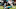 Jacksonville Jaguars Jacksonville Jaguars