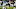 Jacksonville Jaguars Jacksonville Jaguars