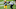 Jacksonville Jaguars Jacksonville Jaguars