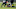 Jacksonville Jaguars Jacksonville Jaguars