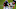 Jacksonville Jaguars Jacksonville Jaguars