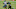 Jacksonville Jaguars Jacksonville Jaguars