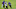Jacksonville Jaguars Jacksonville Jaguars