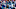 Jacksonville Jaguars Jacksonville Jaguars