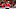 Chicago Blackhawks Chicago Blackhawks