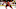 Chicago Blackhawks Chicago Blackhawks