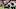 Atlanta Falcons Atlanta Falcons