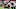 Atlanta Falcons Atlanta Falcons