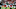 Atlanta Falcons Atlanta Falcons