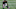 Atlanta Falcons Atlanta Falcons