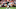 CLEVELAND, OHIO – OCTOBER 17: Odell Beckham Jr. #13 of the Cleveland Browns rushes the ball during the fourth quarter against the Arizona Cardinals at FirstEnergy Stadium on October 17, 2021 in Cleveland, Ohio. (Photo by Nick Cammett/Getty Images) CLEVELAND, OHIO – OCTOBER 17: Odell Beckham Jr. #13 of the Cleveland Browns rushes the ball during the fourth quarter against the Arizona Cardinals at FirstEnergy Stadium on October 17, 2021 in Cleveland, Ohio. (Photo by Nick Cammett/Getty Images)