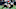 Atlanta Falcons Atlanta Falcons