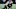 Atlanta Falcons Atlanta Falcons