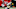 Atlanta Falcons Atlanta Falcons