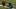 Atlanta Falcons Atlanta Falcons