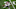 HOUSTON, TX – FEBRUARY 05: C.J. Goodwin (Photo by Ezra Shaw/Getty Images) HOUSTON, TX – FEBRUARY 05: C.J. Goodwin (Photo by Ezra Shaw/Getty Images)