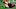 ATLANTA, GA – OCTOBER 15: Deion Jones (Photo by Kevin C. Cox/Getty Images) ATLANTA, GA – OCTOBER 15: Deion Jones (Photo by Kevin C. Cox/Getty Images)