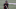 Atlanta Falcons Atlanta Falcons