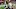 Atlanta Falcons Atlanta Falcons
