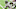 Atlanta Falcons Atlanta Falcons