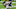 Atlanta Falcons Atlanta Falcons