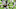 Atlanta Falcons Atlanta Falcons