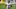 Atlanta Falcons Atlanta Falcons