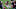 Atlanta Falcons Atlanta Falcons