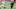 Atlanta Falcons Atlanta Falcons