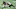 Matt Ryan, Atlanta Falcons Matt Ryan, Atlanta Falcons