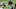 Atlanta Falcons Atlanta Falcons