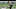 Atlanta Falcons Atlanta Falcons