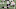 Atlanta Falcons Atlanta Falcons
