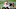 Atlanta Falcons Atlanta Falcons