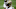 Atlanta Falcons Atlanta Falcons