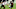 Atlanta Falcons Atlanta Falcons