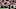 Atlanta Falcons Atlanta Falcons