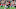 Atlanta Falcons Atlanta Falcons
