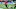Atlanta Falcons Atlanta Falcons