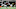 Atlanta Falcons Atlanta Falcons