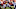 Atlanta Falcons Atlanta Falcons